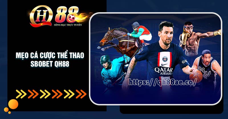 Mẹo cá cược thể thao SBOBet QH88 trăm trận trăm thắng
